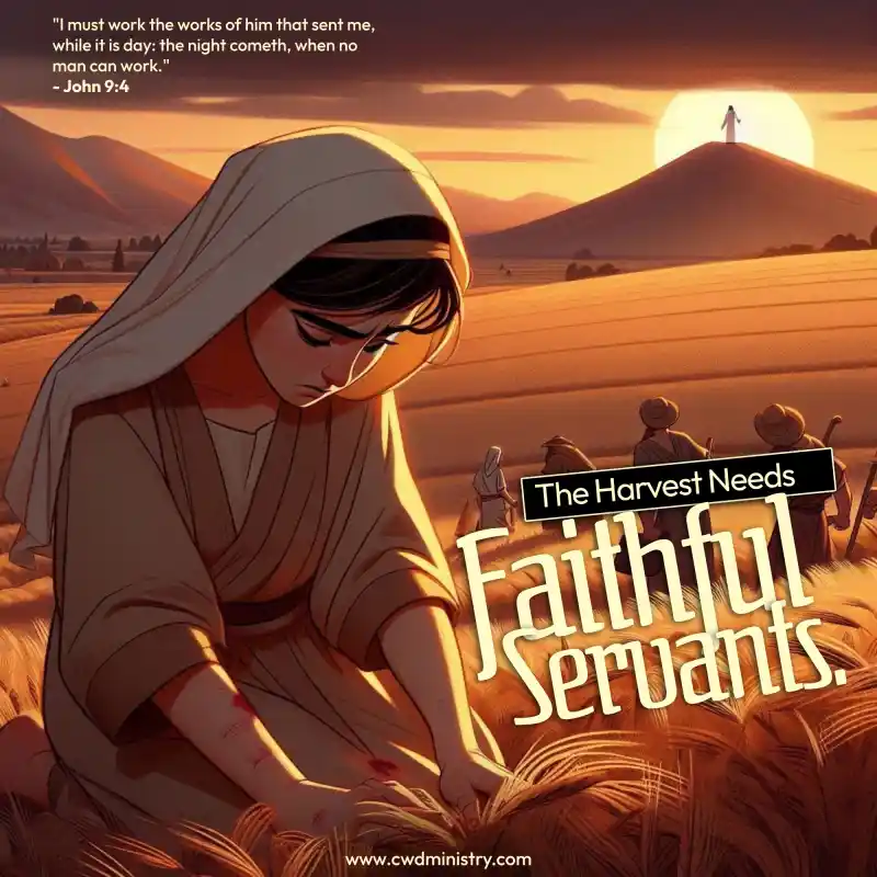 Harvest 2 - Christ, Christian, CWD Ministry, Christianwars, Timilehin Fasuan, Gospel, Biblical Searches, Jesus Christ, Holy Spirit, Christian Wallpapers, Bible Verses, Worship Backgrounds, Faith-based Imagery, Prayer, Salvation, Church Media, Godly Inspiration, Christian Devotionals, Spiritual Warfare, Scripture Pictures