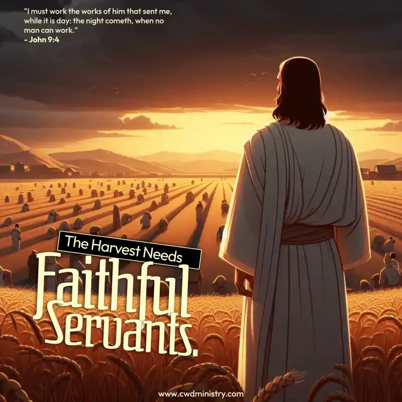 Harvest 3 - Christ, Christian, CWD Ministry, Christianwars, Timilehin Fasuan, Gospel, Biblical Searches, Jesus Christ, Holy Spirit, Christian Wallpapers, Bible Verses, Worship Backgrounds, Faith-based Imagery, Prayer, Salvation, Church Media, Godly Inspiration, Christian Devotionals, Spiritual Warfare, Scripture Pictures
