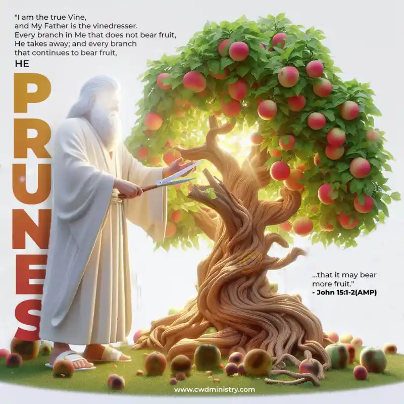 Pruning1 - Christ, Christian, CWD Ministry, Christianwars, Timilehin Fasuan, Gospel, Biblical Searches, Jesus Christ, Holy Spirit, Christian Wallpapers, Bible Verses, Worship Backgrounds, Faith-based Imagery, Prayer, Salvation, Church Media, Godly Inspiration, Christian Devotionals, Spiritual Warfare, Scripture Pictures